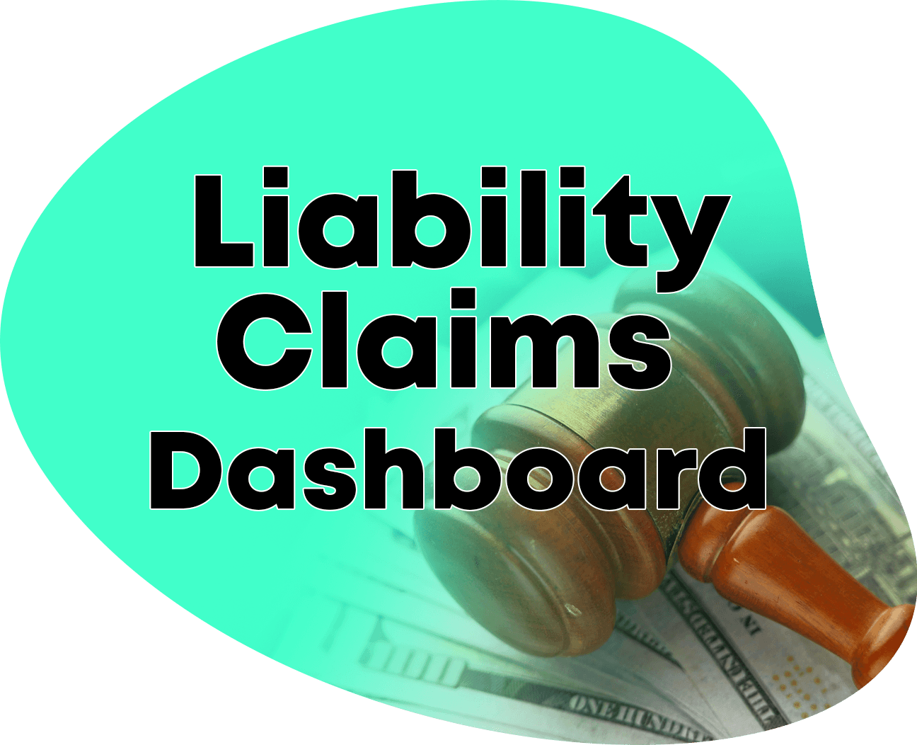 Liability Claims Dashboard