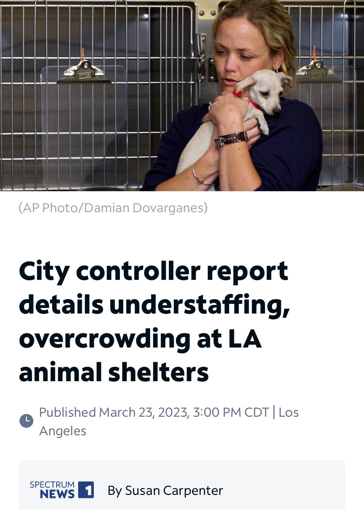 City Controller Report Details Understaffing, Overcrowding at LA Animal Shelters